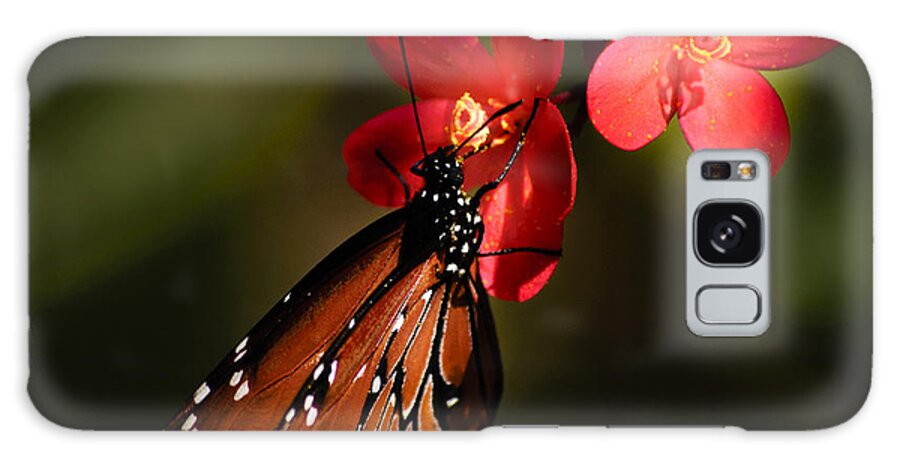 Butterfly Galaxy Case featuring the photograph Butterfly on Red Blossom by Penny Lisowski