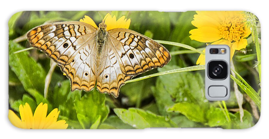 Butterfly Galaxy Case featuring the photograph Butterfly On Yellow Flower by Don Durfee