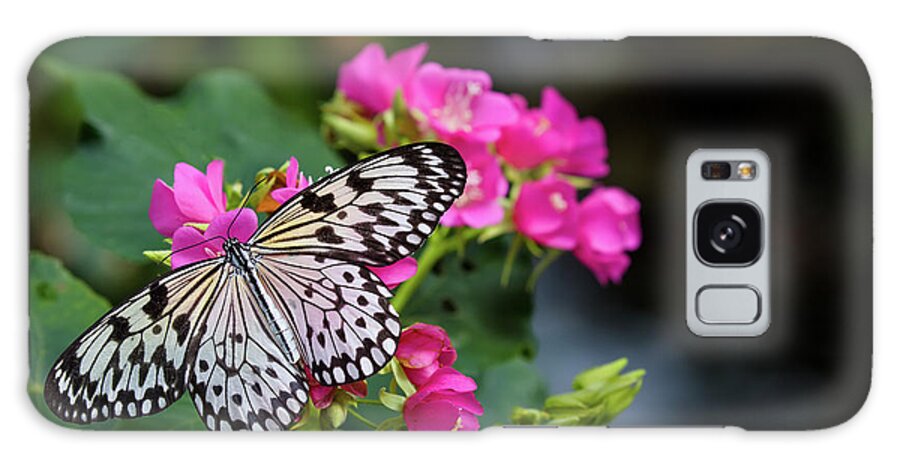 Photography Galaxy Case featuring the photograph Butterfly Pollinating Flower by Panoramic Images