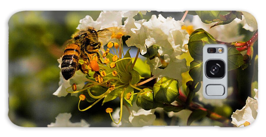 Art Prints Galaxy Case featuring the photograph Buzzing Around by Dave Bosse