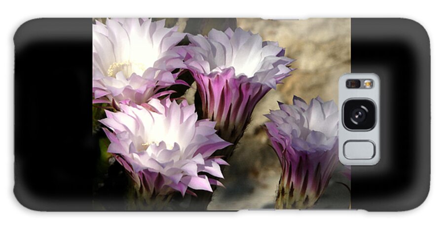 Flowers Galaxy Case featuring the photograph Cactus Blossoms by Jodie Marie Anne Richardson Traugott     aka jm-ART