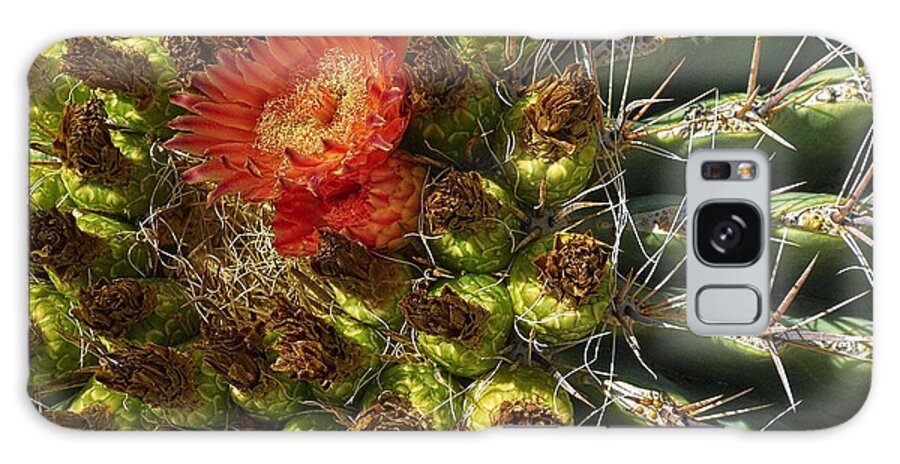 Cactus Galaxy Case featuring the photograph Cactus Flower by Steve Ondrus
