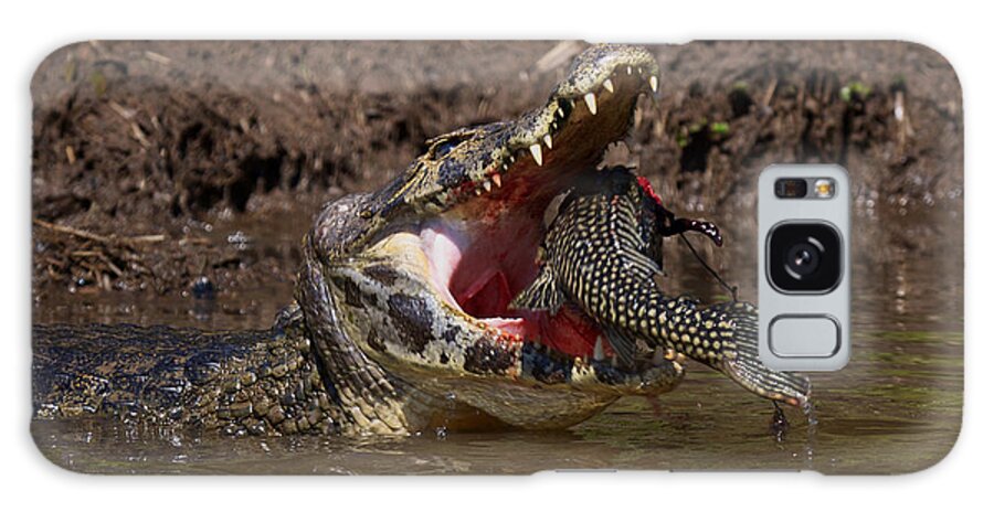 Brazil Galaxy S8 Case featuring the photograph Caiman vs Catfish 1 by David Beebe