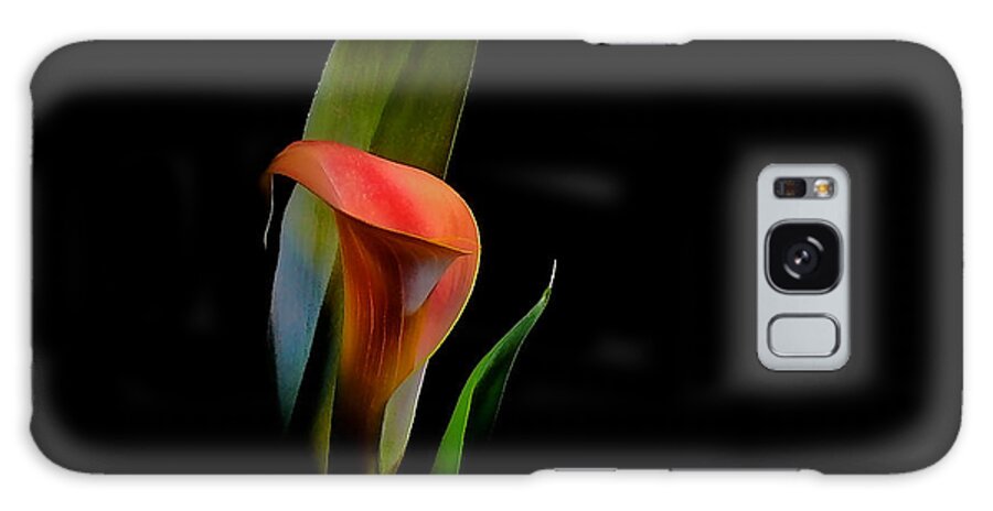 Calla Lily Galaxy Case featuring the photograph Cala Lilly by Stuart Harrison