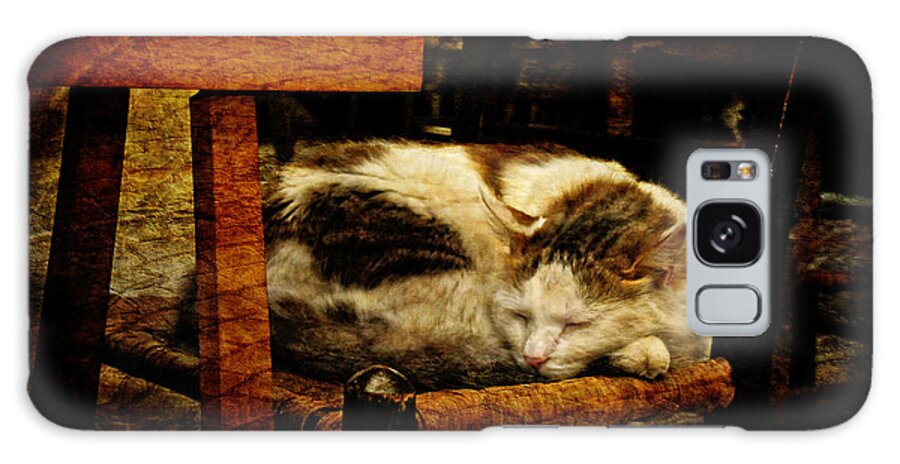 Cat Galaxy Case featuring the photograph Calico by Lois Bryan
