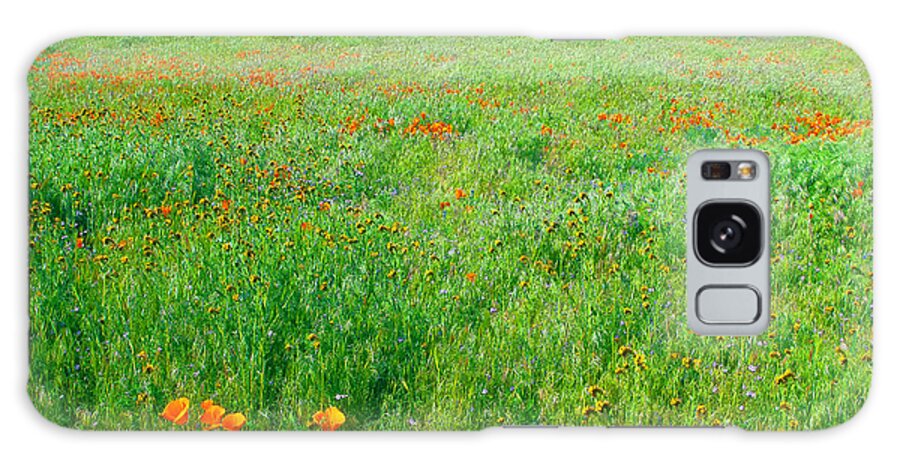 California Galaxy Case featuring the photograph California Wildflowers by Ram Vasudev