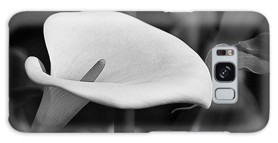 B&w Galaxy S8 Case featuring the photograph Calla Lily002 by Nicola Fiscarelli