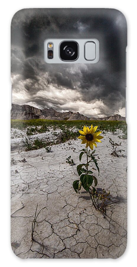#badlands #badlands National Park #south Dakota #storm #storm Clouds #stormy #thunderstorm #wall #beauty #clouds #crack #cracked Ground #cracks #dangerous #earth #flower #ground #nature #rock Formations #rugged Terrain #severe #sky #weather #weed #yellow Galaxy Case featuring the photograph Calm Before The Storm by Aaron J Groen