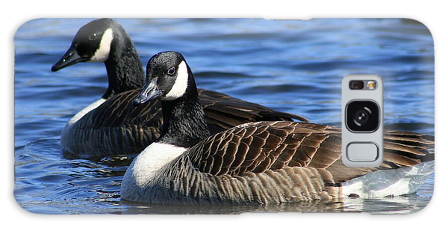 Bird Galaxy Case featuring the photograph Canadian Geese Pair by Neal Eslinger