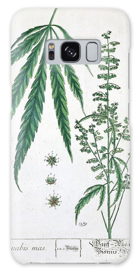 Cannabis Galaxy Case featuring the painting Cannabis by Elizabeth Blackwell
