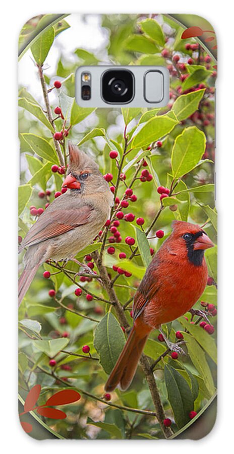 Cardinals Galaxy Case featuring the photograph Cardinals in Holly by Bonnie Barry