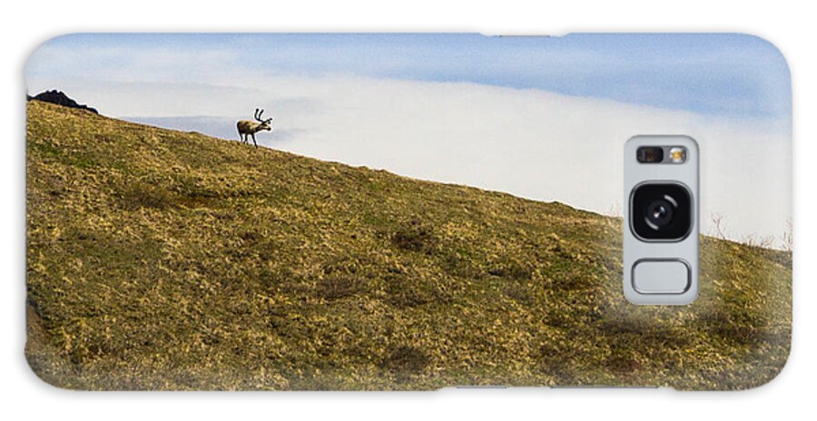 Caribou Galaxy Case featuring the photograph Caribou ridge by Barry Bohn