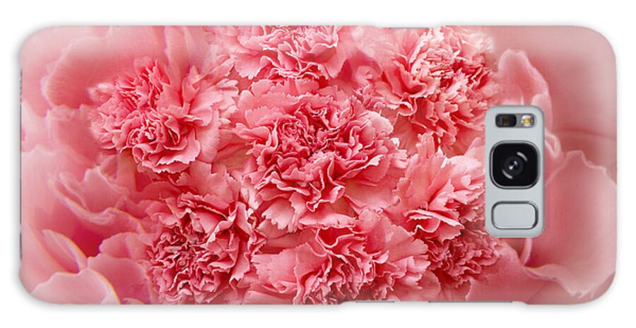 Pink Carnations Galaxy Case featuring the photograph Carnations by Marina Kojukhova