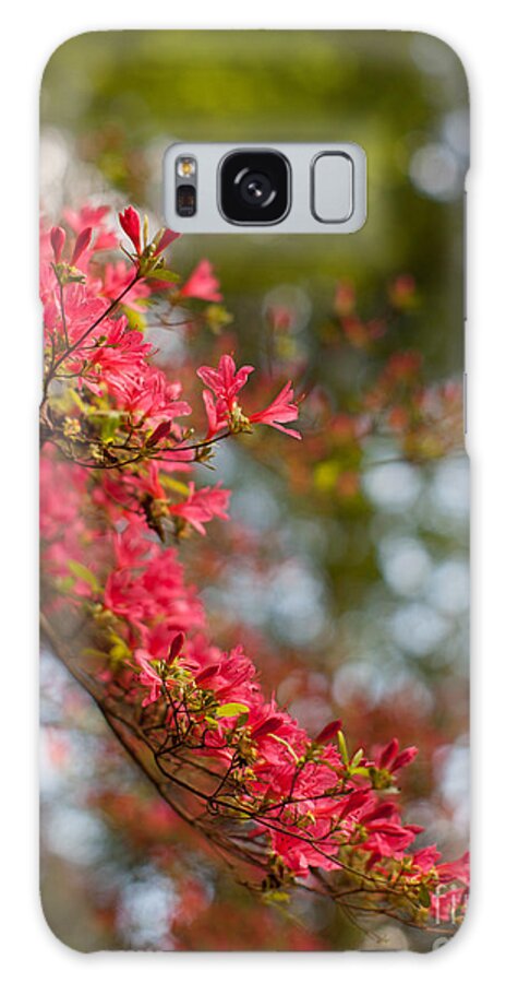 Azalea Galaxy Case featuring the photograph Cascading Blooms by Mike Reid