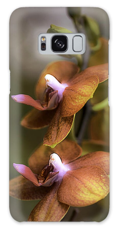 Orchid Galaxy Case featuring the photograph Cascading Exotic Orchids by Julie Palencia