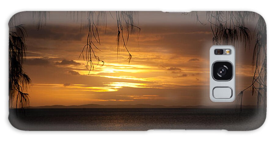 Tree Galaxy Case featuring the photograph Casuarina Sunset 2 by Carole Hinding