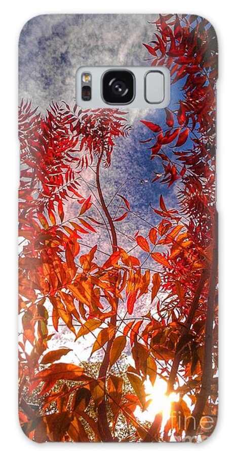 Cml Brown Galaxy Case featuring the photograph Catharsis by CML Brown