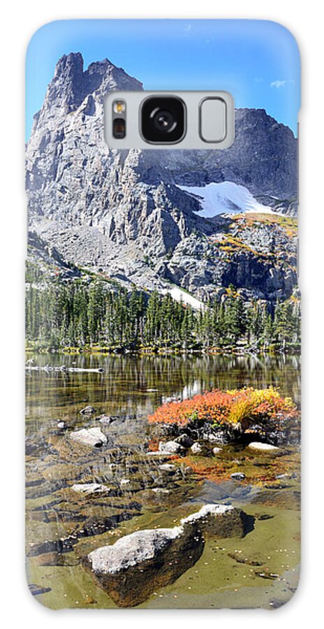 Vertical Galaxy Case featuring the photograph Cathedral in the Park-V by Tranquil Light Photography