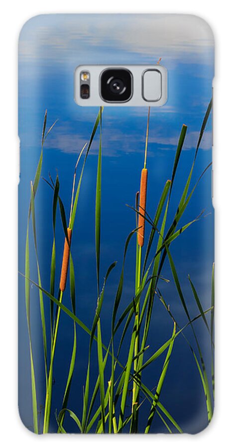 Green Galaxy Case featuring the photograph Cattails at Overholster by Doug Long