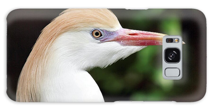 Animal Themes Galaxy Case featuring the photograph Cattle Egret by Sandra L. Grimm