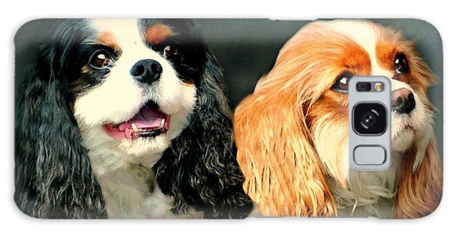 Dogs Galaxy S8 Case featuring the photograph Cavalier King Charles by Diana Angstadt