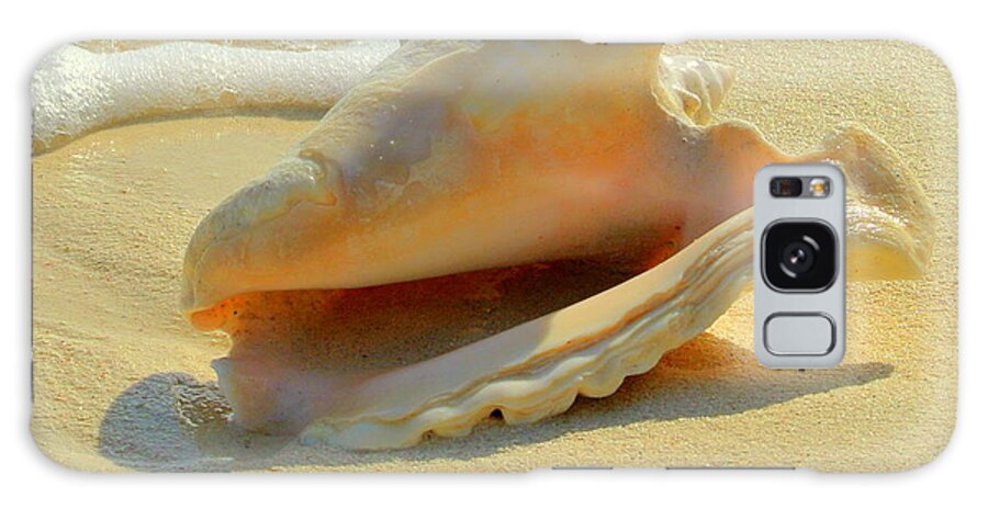 Cayman Galaxy Case featuring the photograph Cayman Conch #1 by Stephen Bartholomew