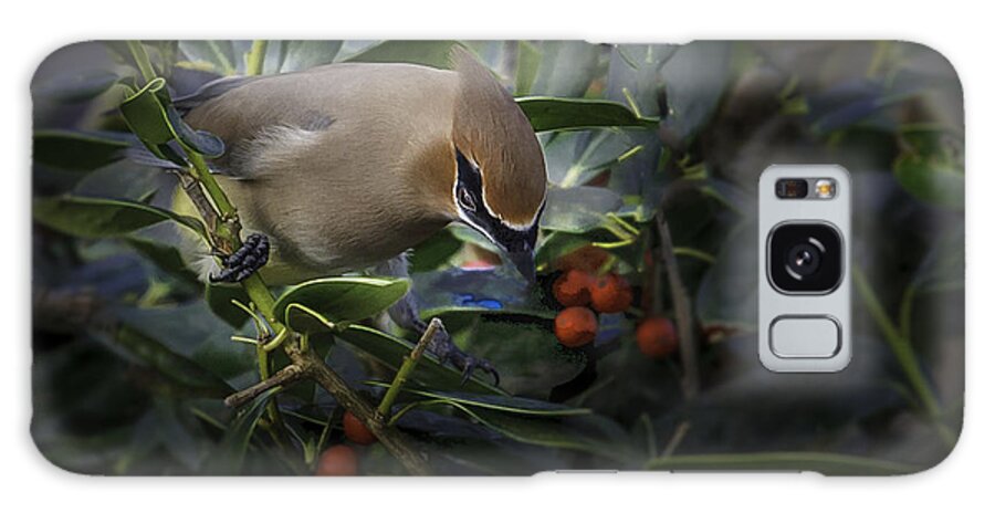Backyard Nature Galaxy Case featuring the photograph Cedar Waxwings 2012-2 by Donald Brown