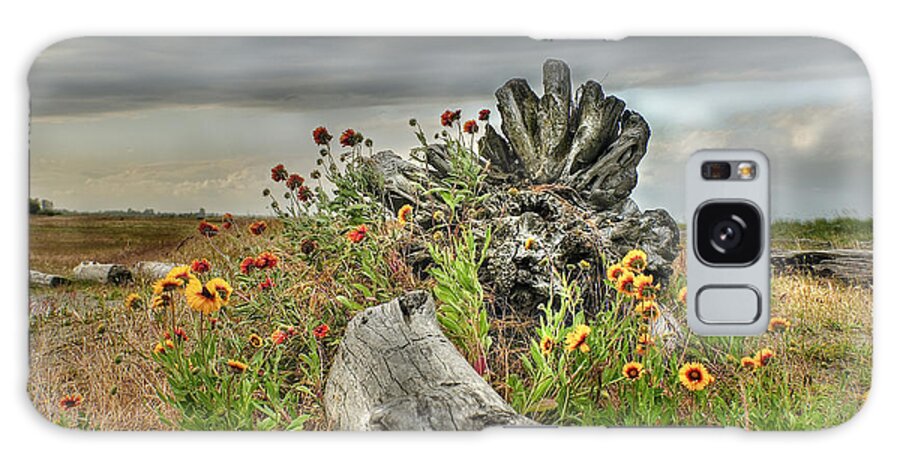 Tsawwassen Galaxy Case featuring the photograph Centennial Beach by Sandra Sigfusson