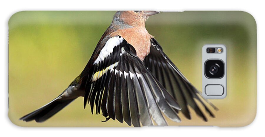 Chaffinch Galaxy Case featuring the photograph Chaffinch in flight by Grant Glendinning