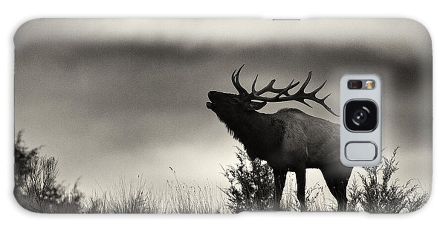 Elk Galaxy Case featuring the photograph Challenge At Dawn by Aaron Whittemore