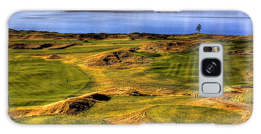 Chambers Bay Golf Course Galaxy Case featuring the photograph Chambers Bay Lone Tree by David Patterson