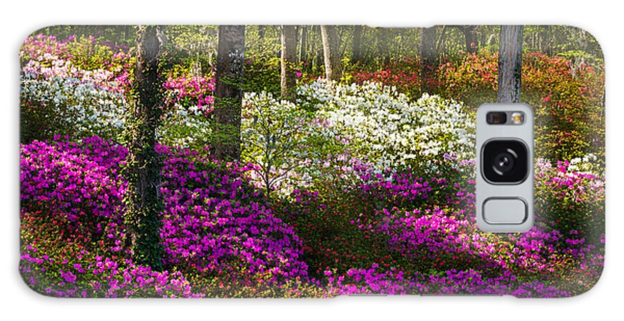 Azaleas Galaxy S8 Case featuring the photograph Charleston SC Azalea Flowers and Sunlight - Fairytale Forest by Dave Allen