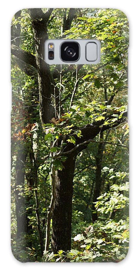 Autumn Leaves Galaxy Case featuring the photograph Chattahoochee Riverwalk by Rafael Salazar