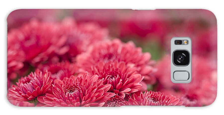 Mums Galaxy Case featuring the photograph Cheerful by Patty Colabuono