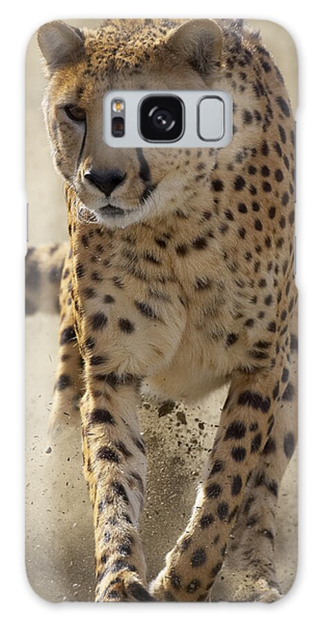 Feb0514 Galaxy Case featuring the photograph Cheetah Running #2 by San Diego Zoo
