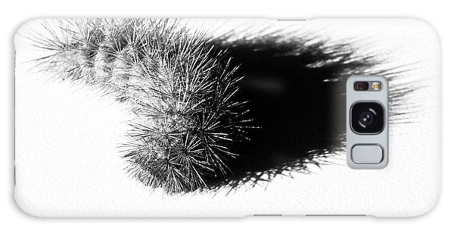 Caterpillar Galaxy Case featuring the photograph Chenille by Lawrence Burry