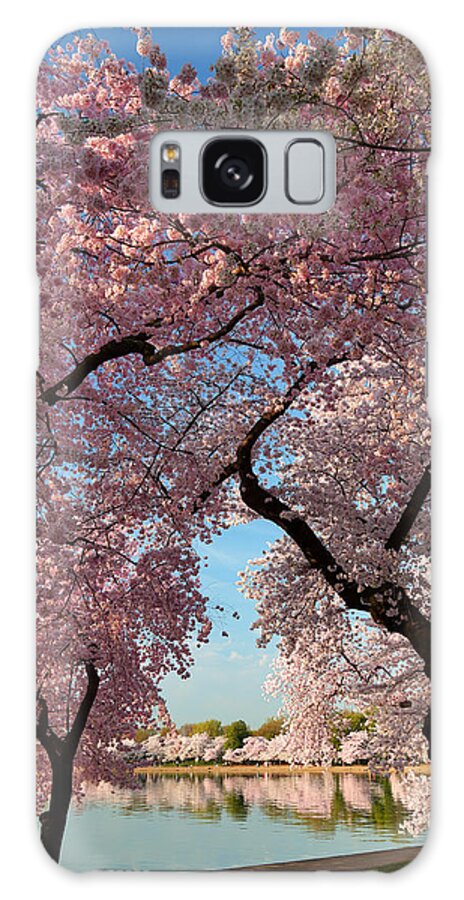 Architectural Galaxy S8 Case featuring the photograph Cherry Blossoms 2013 - 024 by Metro DC Photography