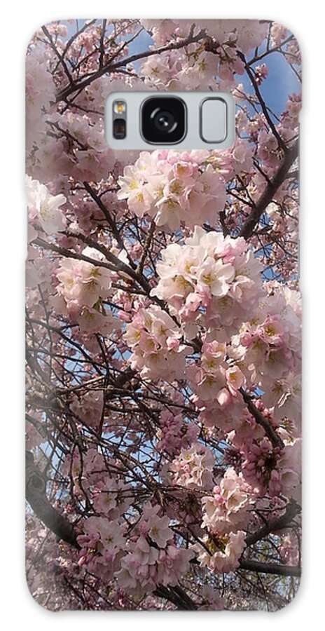 Cherry Blossoms Galaxy S8 Case featuring the photograph Cherry Blossoms For Lana by Emmy Marie Vickers