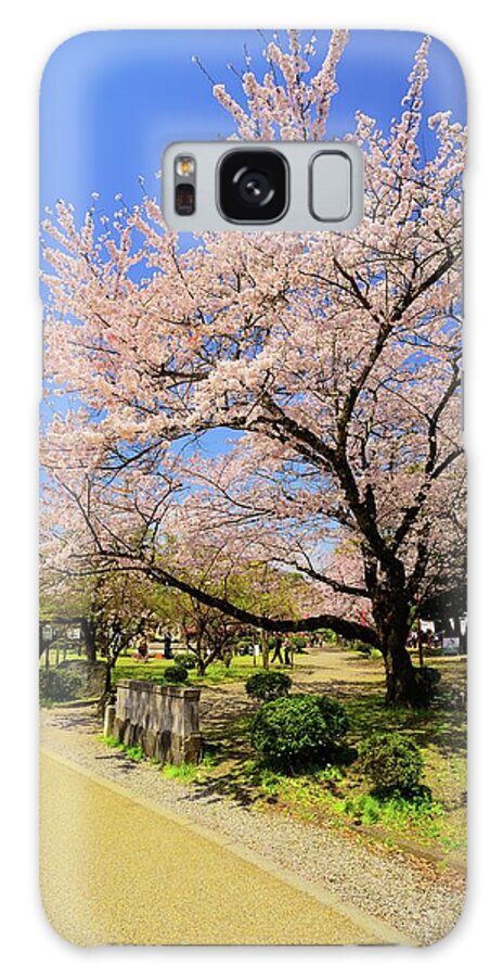 Tranquility Galaxy Case featuring the photograph Cherry Blossoms by Joyoyo Chen