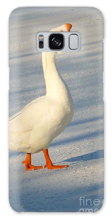 Goose Galaxy Case featuring the photograph Chinese Goose Winter by Susan Garren