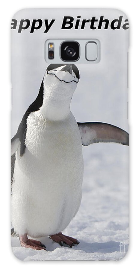 Happy Birthday Card Antarctic Chinstrap Penguin Pygoscelis Antarcticus Wild Snow Looking To Camera Bird Flightless Antarctica Ringed Penguins Bearded Penguins And Stonecracker Galaxy Case featuring the photograph Chinstrap Penguin by Andy Myatt