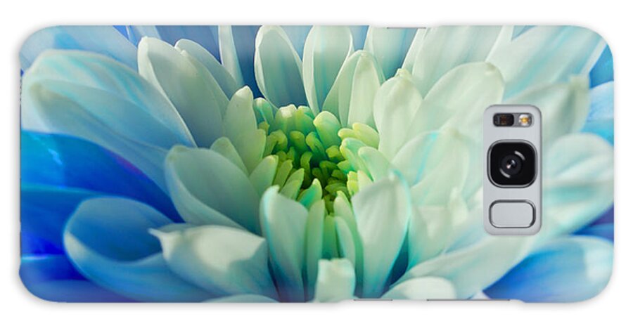 Chrysanthemum Galaxy Case featuring the photograph Chrysanthemum by Scott Carruthers