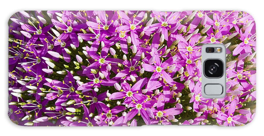 Flowers Galaxy Case featuring the photograph Centrifugal Mountain Pink Flowers by Steven Schwartzman
