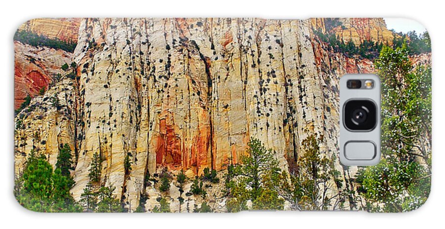 Cliffs Near Checkerboard Mesa Along Zion-mount Carmel Highway In Zion National Park Galaxy S8 Case featuring the photograph Cliffs near Checkerboard Mesa along Zion-Mount Carmel Highway in Zion National Park-Utah by Ruth Hager