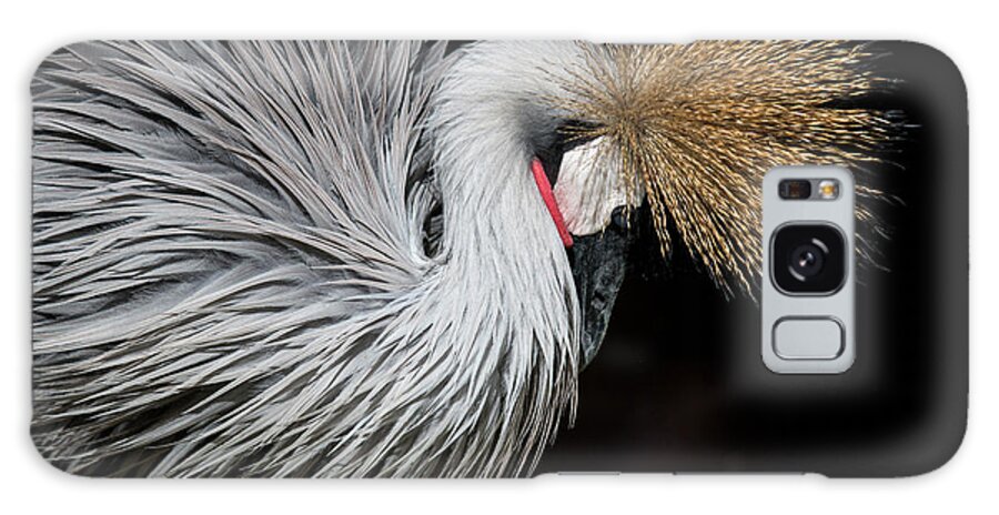 Tranquility Galaxy Case featuring the photograph Close Portrait Of A Grey Crowned Crane by © Santiago Urquijo