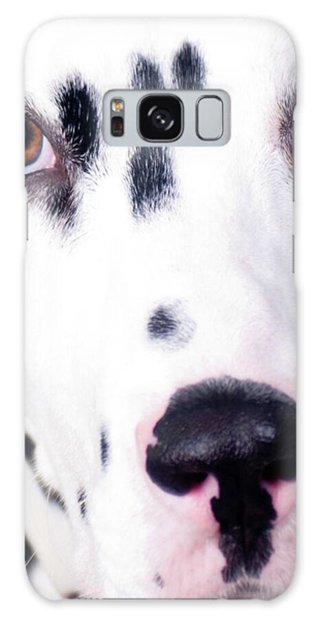 Pets Galaxy Case featuring the photograph Close Up Of Sad Looking Dalmatian by Alphotographic