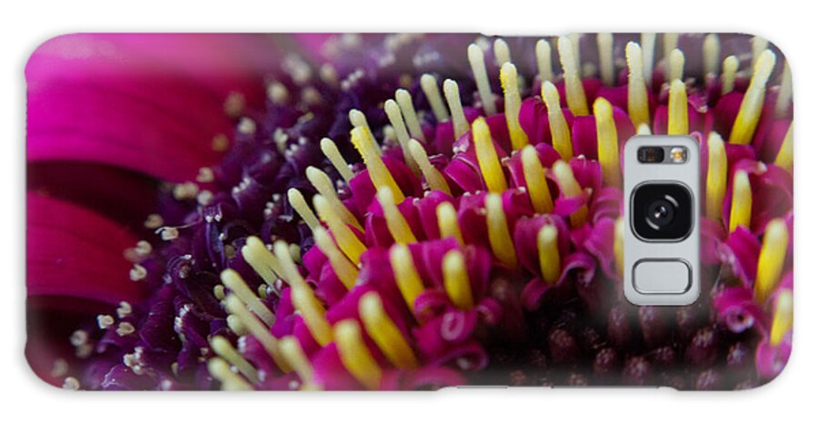 Flower Galaxy Case featuring the photograph Close Up by Ron Pate