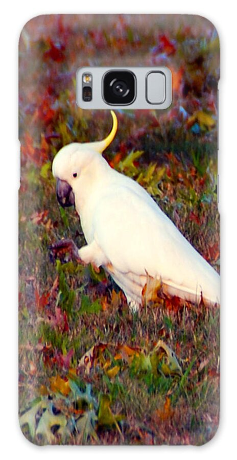 Wildlife Galaxy S8 Case featuring the photograph Cockatoo Color by Glen Johnson