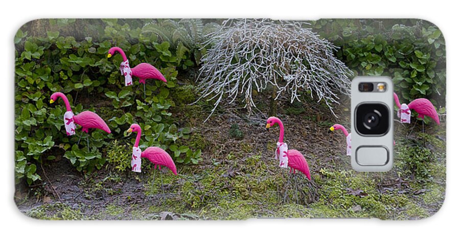 Wall Art Galaxy Case featuring the photograph Cold Pink Flamingos by Ron Roberts