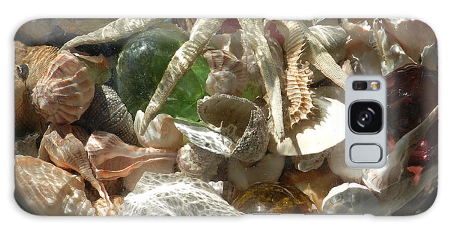 Seashells Galaxy Case featuring the photograph Collection in Jar by Deborah Ferree